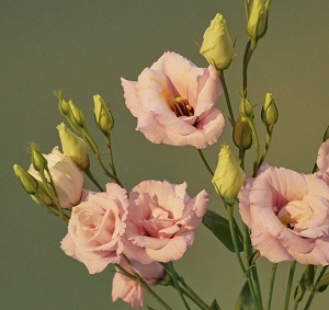 Var snäll mot dig&nbsp;själv!