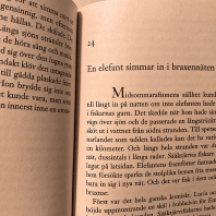 Kapitelrubrik eller inte?